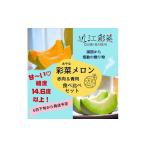 ショッピングふるさと納税 メロン ふるさと納税 滋賀県 草津市 彩菜メロン食べ比べセット