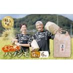米 6回 定期便 令和8年産 ハツシモ 5kg