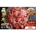 牛肉 トキノ屋食品 A5等級 飛騨牛切り落とし 400g