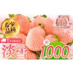 ふるさと納税 いちご 熊本県 玉名市 1月以降発送 淡雪 約1000g | フルーツ 果物 いちご 淡雪 熊本 玉名 1月以降発送