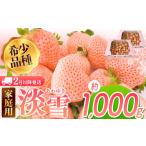 ふるさと納税 いちご 熊本県 玉名市 2月以降発送 ご家庭用淡雪 約1000g | フルーツ 果物 いちご 淡雪 熊本 玉名 2月以降発送