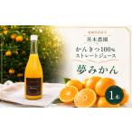 果汁飲料 みかん 柑橘100%ストレートジュース 1本