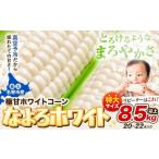 ふるさと納税 とうもろこし 北海道 名寄市  先行予約 受付中 とうもろこし ホワイトコーン 「 なよろホワイト 」 8.5kg 以上 20〜22本 2026年年8月上旬-9月中…
