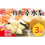 ふるさと納税 梨 宮城県 蔵王町 先行予約 蔵王町産 特秀 幸水梨3kg 箱詰め 04301-0603