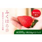 ふるさと納税 いちご 福島県 鏡石町  先行予約 香りが強い 福島県オリジナル品種「ふくはる香」 2L〜3L 約500g（約250g×2パック） いちご イチゴ 苺 福島県 …