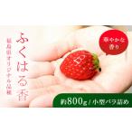 ふるさと納税 いちご 福島県 鏡石町 先行予約 香りが強い 福島県オリジナル品種「ふくはる香」小粒 バラ詰め 約800g いちご イチゴ 苺 福島県 鏡石町 鏡石農…