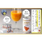 果汁飲料 みかん 屋久島たんかんジュース 190ml×10本