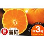 みかん 柑橘類 2027年 麗紅 約3kg