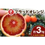みかん 柑橘類 2027年 ブラッドオレンジ 約3kg