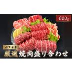 牛肉 セット 産厳選 焼肉5種盛り合わせ 600g