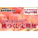 ふるさと納税 もも 福