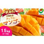 ふるさと納税 マンゴー 沖縄県 西原町  2026年6月から順次発送・訳あり アップルマンゴー1.5kg(3〜6玉)_ マンゴー フルーツ 果物 くだもの アップルマンゴー …
