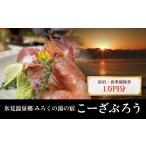 宿泊券 氷見温泉郷 みろくの湯の宿 こーざぶろう