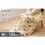 タオル 寝具 毛布 イケヒコオリジナルポケットこたつカルド…