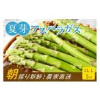 fu.... налог овощи вид спаржа Fukuoka префектура Okawa город утро .. прямая поставка лето . спаржа 1kg(2L-L размер ) Fukuoka префектура производство 2026 год 