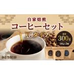 ふるさと納税 コーヒー コーヒー豆 福岡県 北九州市 かとう珈琲 自家焙煎コーヒーセット 豆