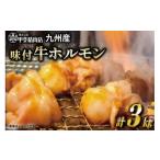 惣菜 レトルト 冷凍 九州産 味付 牛ホルモン 300g×10袋