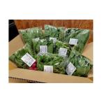 野菜類 農園直送 はっぱ屋のはっぱ野菜セット