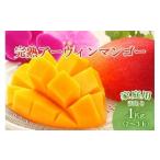 ショッピングふるさと納税 マンゴー ふるさと納税 マンゴー 沖縄県 宮古島市  先行受付 2026年発送 いらぶ島マンゴー園　宮古島産“完熟アーウィンマンゴー”《家庭用》1kg（HR04）