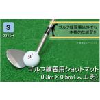 ゴルフグッズ 全国の有名ゴルフ場 練習場が多く採用の本格派