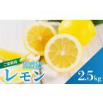 みかん 柑橘類 レモン イエロー 2.5kg