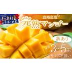ふるさと納税 マンゴー 沖縄県 石垣市  先行予約 訳あり マンゴー サイズ不揃い 3〜5玉 (約1.5kg) 2026年7月上旬から発送 訳あり品 マンゴー KP-27 3〜5玉(1.5…