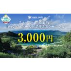 ふるさと納税 宿泊券 岩手県 陸前高田市 Snow Peak スノーピーク 陸前高田キャンプフィールド で使えるクーポン チケット 利用券 (3,000円相当) Snow Peak …
