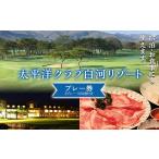 温泉 サウナ スパ利用券 シーズン中いつでも使えるプレー券