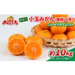 ふるさと納税 もも 愛媛県 宇和島市 訳あり 小玉みかん 南柑20号 10kg 2S 〜 3S サイズ不揃い 玉津みかん ニュービジネスユニット 中生 温州みかん 愛媛みかん…