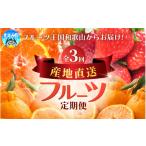 いちご 3回定期便 12 1~2 3月 定期便