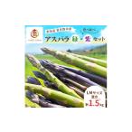 アスパラ 緑 紫 サイズ混合 計約1.5kg