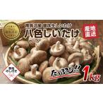野菜類 きのこ 南 無地のし 南魚沼産 八色 しいたけ 1kg