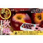 ふるさと納税 りんご 長野県 箕輪町 2025年/令和7年度発送分 訳あり 信州のりんご 秋映 約 5kg りんご リンゴ 林檎 長野 フルーツ 果物 信州産 長野県産 特…