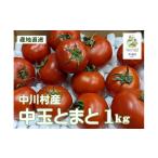 野菜類 トマト GOKO樹なり甘熟とまと