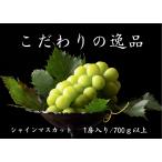 や 用に 契約農家厳選シャインマスカット700g以上1房入