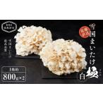 ふるさと納税 野菜類 きのこ 新潟県 南魚沼市 雪国まいたけ　極白　2株 1株約800g×2 　これが雪国史上、最高傑作　長期熟成と大株仕立てが生み出す圧倒的なシ…