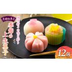 和菓子 生菓子 季節の上生菓子12個セット