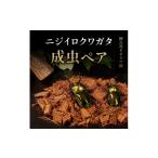 生き物 ニジイロクワガタ成虫ペア 1505385