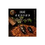 生き物 オオクワガタ成虫ペア飼育セット付き