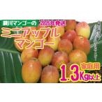 ショッピングふるさと納税 マンゴー ふるさと納税 マンゴー 沖縄県 名護市  2026年発送 親川マンゴーのミニアップルマンゴー　家庭用　1.3kg以上 アップル マンゴー 夏 冷蔵 おすすめ 人気 スイー…