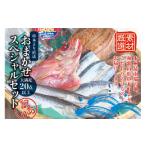 ふるさと納税 干物 アジ 和歌山県 串本町 訳あり干物セット たっぷり20点以上 おざきのひもの「おまかせスペシャルセット」 冷凍 / ひもの 干物 干物セット …