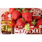 ふるさと納税 いちご 熊本県 玉名市 イチゴ 生産量 西 日本一 ? 厳選農家直送 いちご 肥後こまち 約 500g | フルーツ 果物 くだもの 苺 いちご 熊本県 玉名市 …
