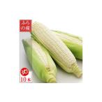とうもろこし 2027年 富良野産 生で食べられる白いとうもろ…