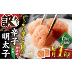 魚貝類 明太子 全6回定期便 訳あり 無着色