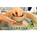 体験チケット やちむん植木鉢作り体験 ガジュマル付き