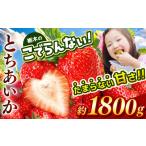 いちご 2027年1~ とちあいか 栃木のこでらんないイチゴ