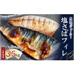 魚貝類 全3回 ご 塩さばフィレの定期便 さば