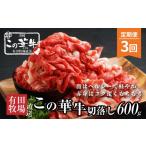 牛肉 有田牧場直送この華牛切り落とし900g