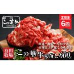 牛肉 有田牧場直送この華牛切り落とし900g