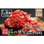 牛肉 有田牧場直送この華牛切り落とし900g